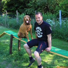 bilderstrecke_hundeschule_axelwoehr_07.jpg