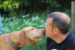 bilderstrecke_hundeschule_axelwoehr_10.jpg
