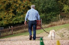 bilderstrecke_hundeschule_axelwoehr_15.jpg